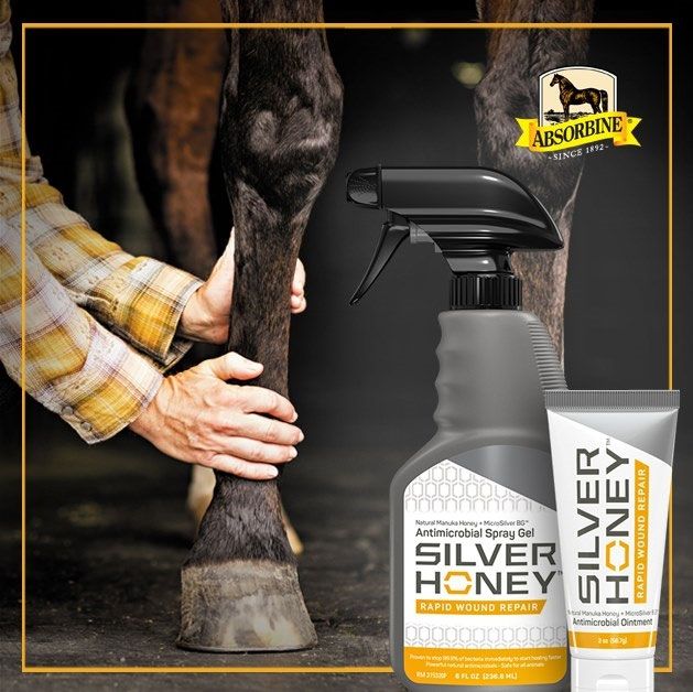 Das Hautmikrobiom und Silver Honey