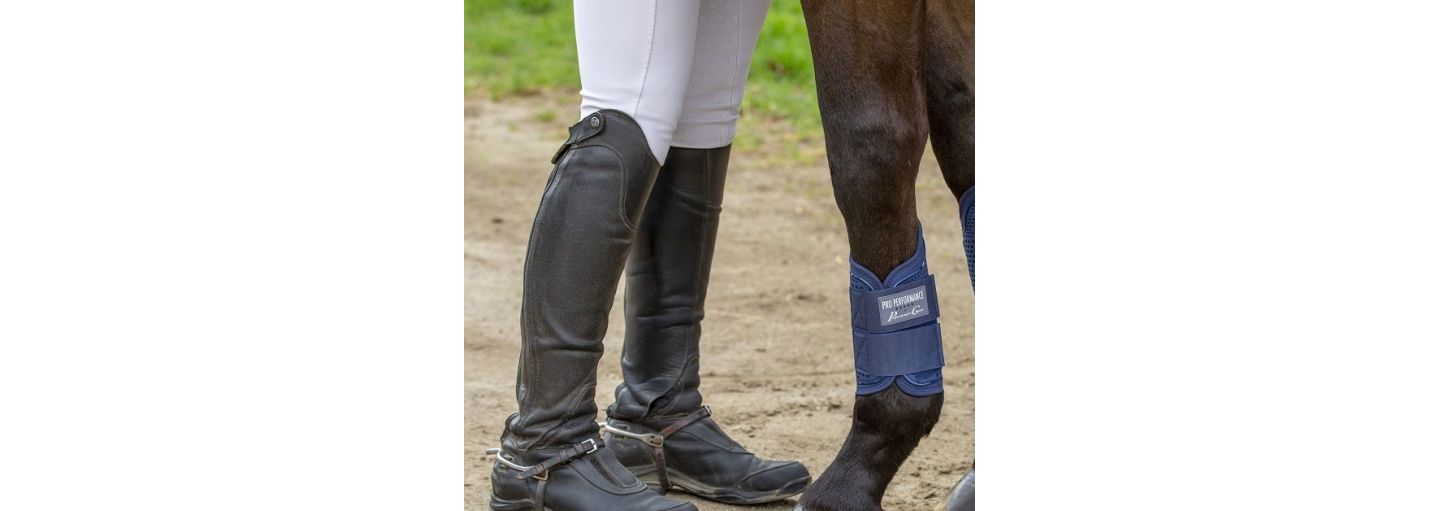 5 M�glichkeiten, die Beine deines Pferdes zu sch�tzen
