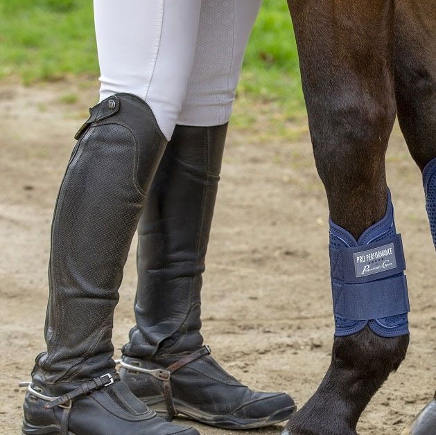 5 M�glichkeiten, die Beine deines Pferdes zu sch�tzen