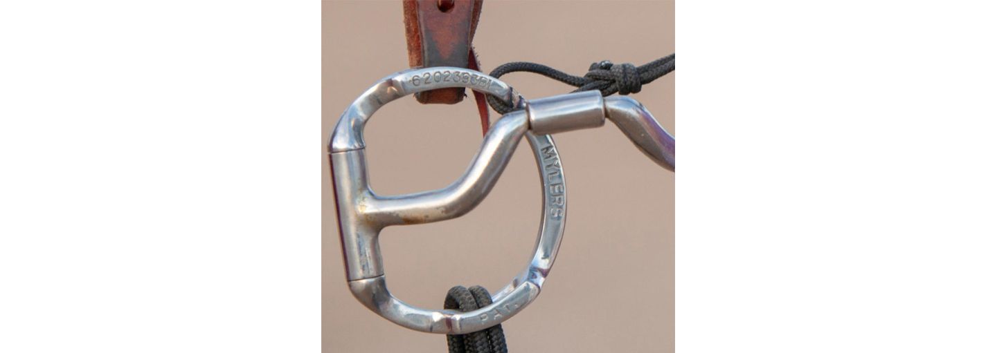 Gebissringe mit Haken