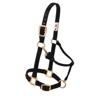 Halters and Lead Ropes