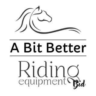 A Bit Better | RE Bits