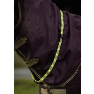 Safety Gear - Horse