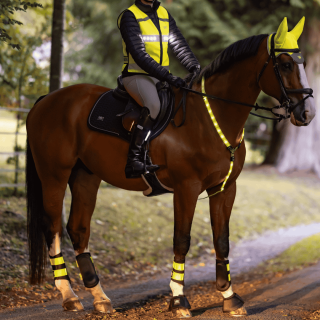 Sikkerhed - Hest