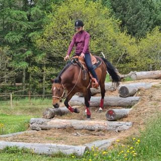 Mountain Trail & TREC