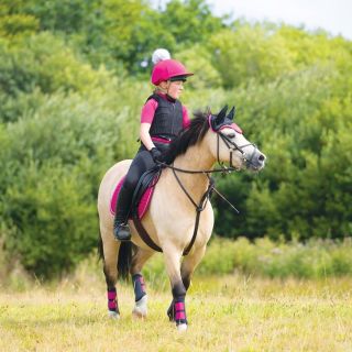 Pony & Miniature
