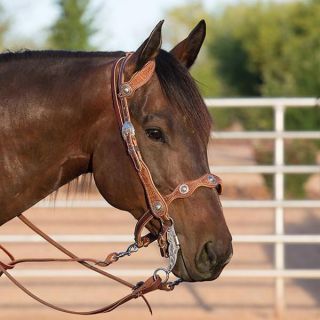 Headstalls