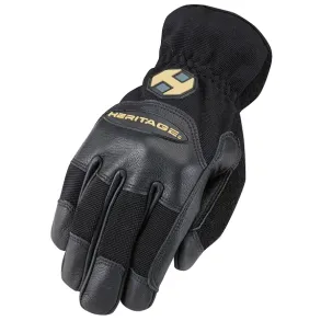 Groundwork & Trainer Glove