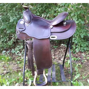 Longhorn Ute Holm Reiner 15