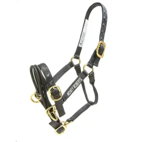 Dually Halter | Monty Roberts grime