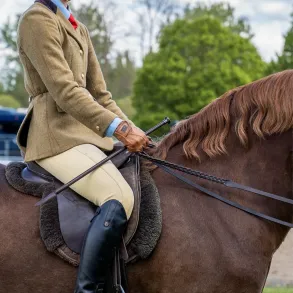 Woof Wear | Show Whip