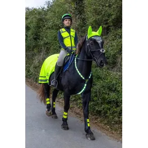 LED Neck Band | Hi Viz Yellow