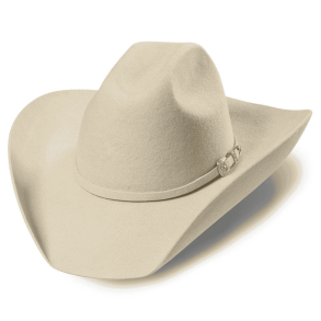Stars & Stripes Wyoming Filthat | Bone