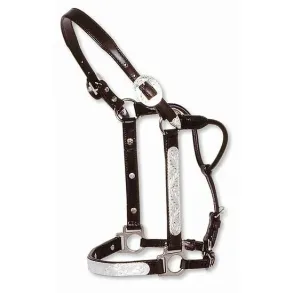 Circle Y | Show Halter
