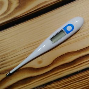 Termometer med hylster